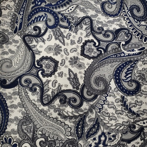 Modello di straccio selvaggio in seta - Durant Paisley