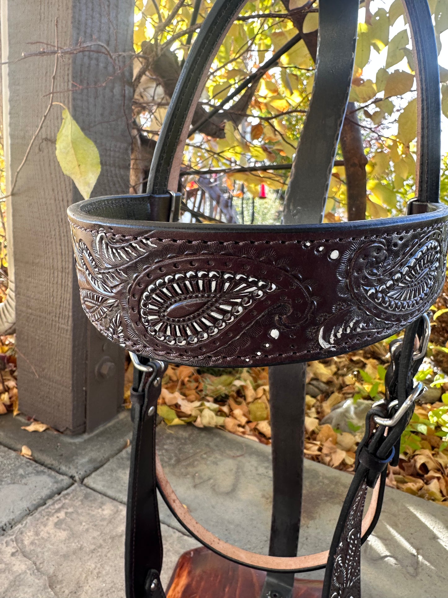 Headstall #112 - Browband Headstall Pena clara e escura