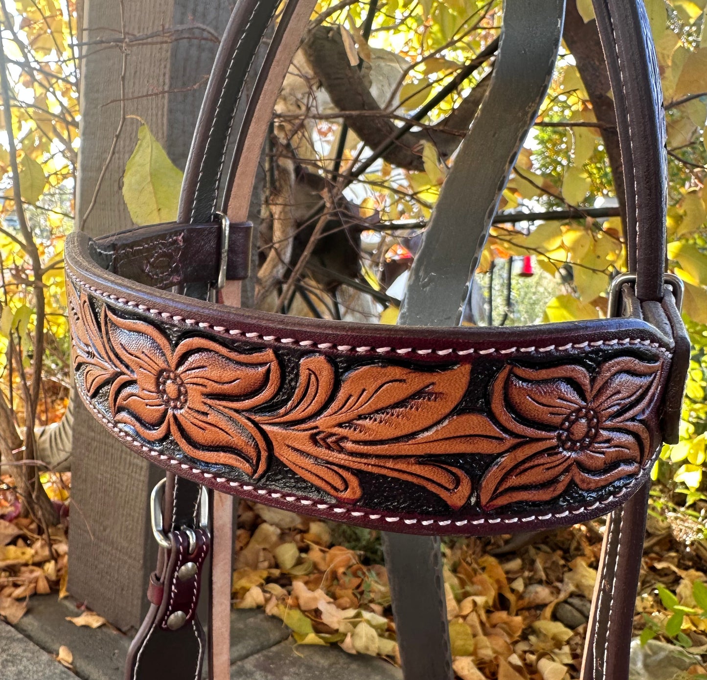 Headstall #112 - Browband Headstall Pena clara e escura