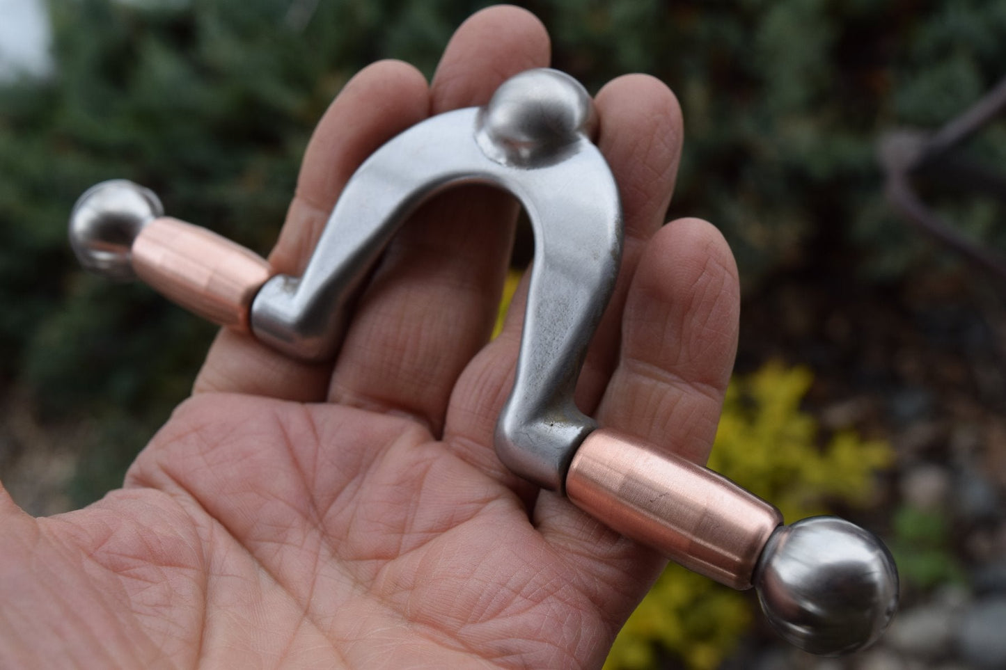 Cume de Bighorn Shank