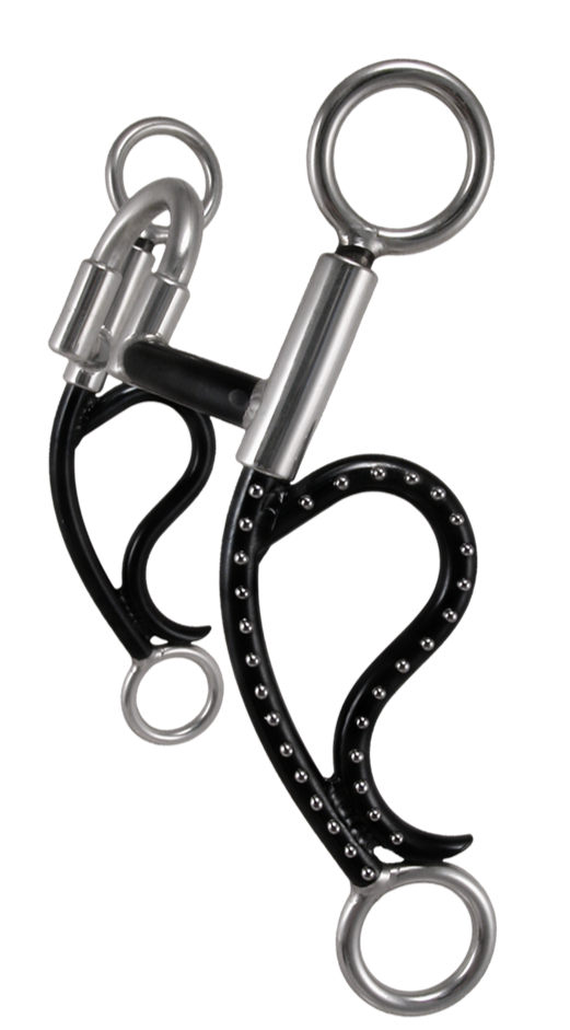 Bighorn Shank Correction