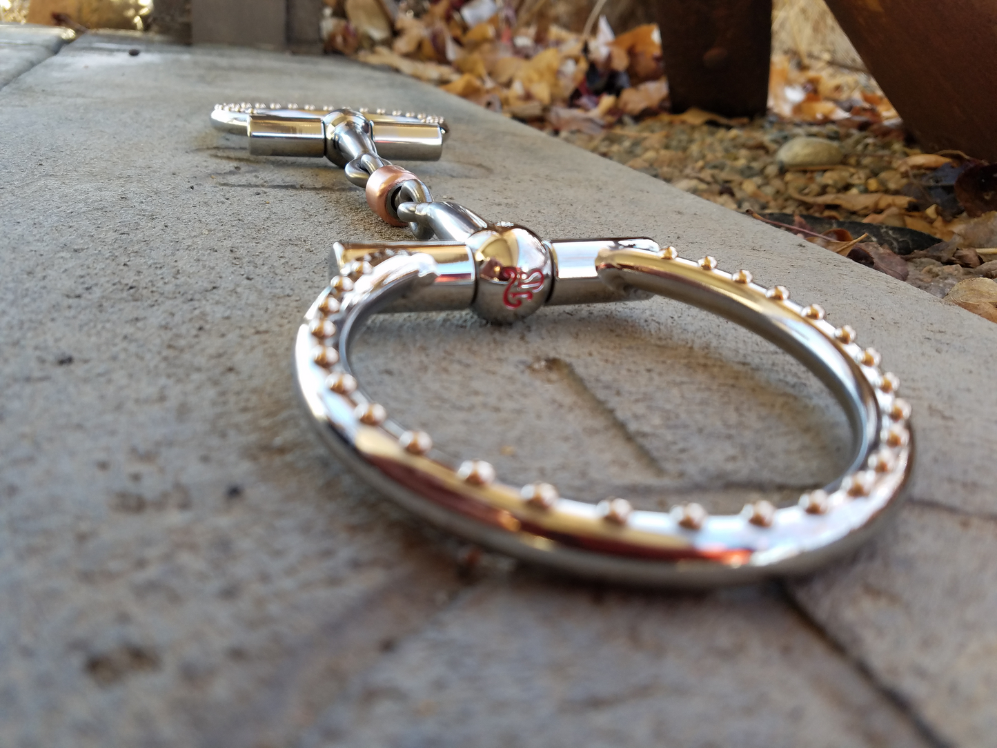 Anillo en D Ballhinge Slick 50: acero inoxidable con puntos de latón