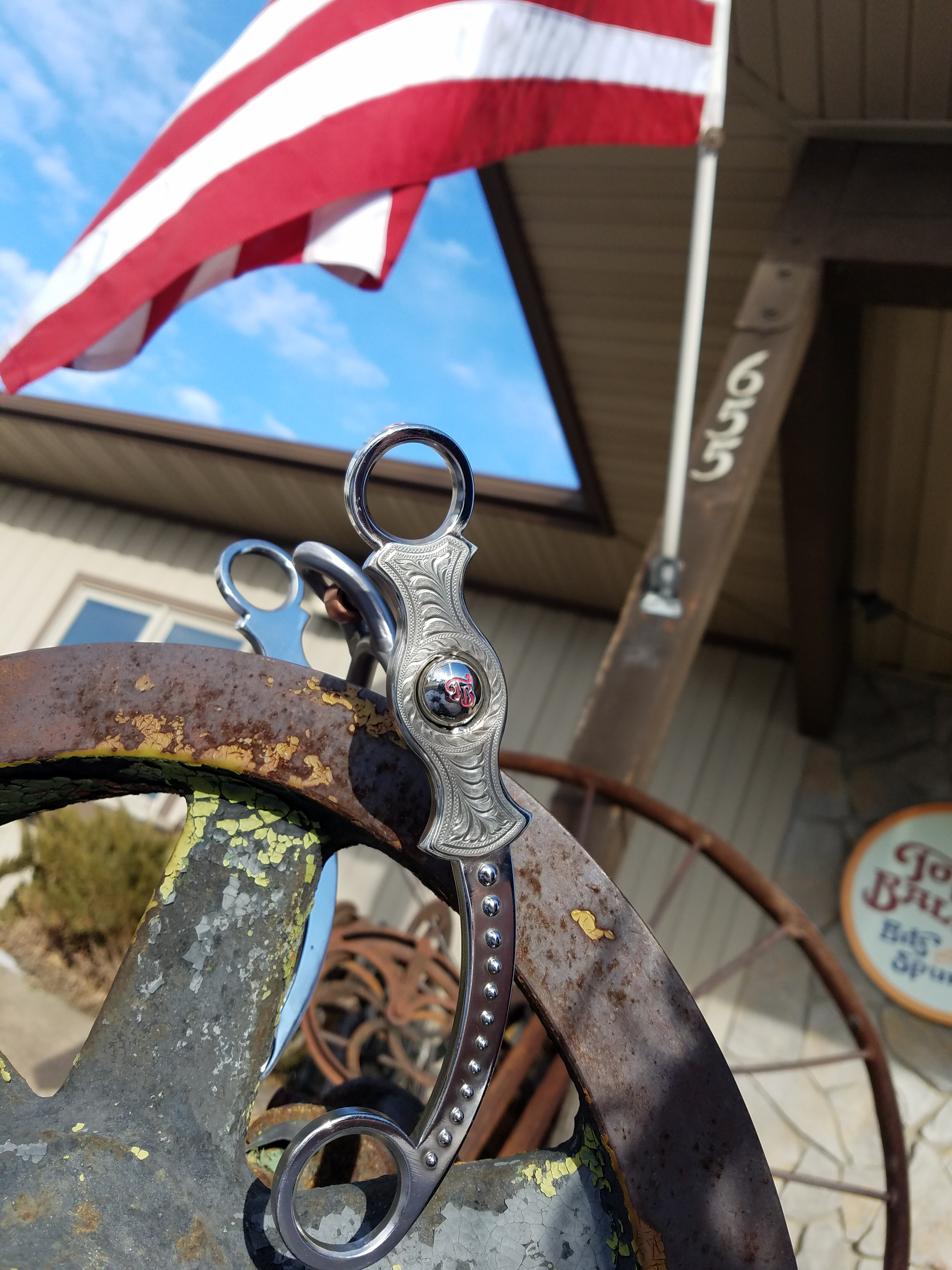 Tahoe Verona with Roller Stainless Silver Dots outdoor shot