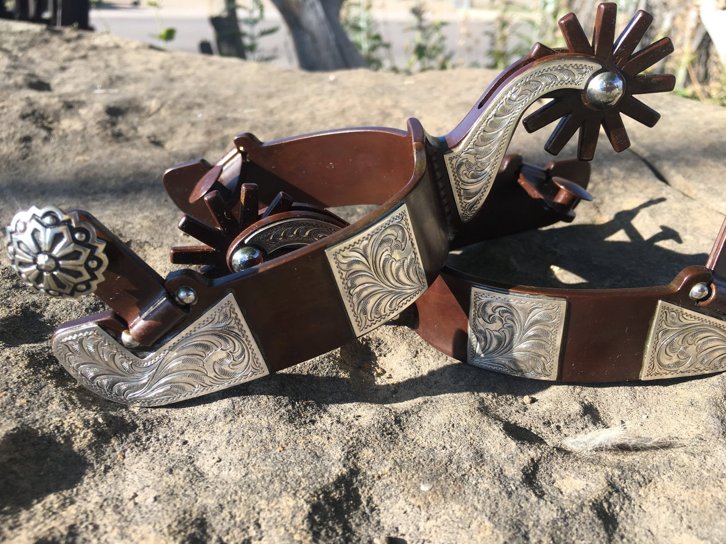 Equestrian Spur #67 Plaques d'argent gravées sur une bande coupée avec finition marron par Tom Balding Horse Tack