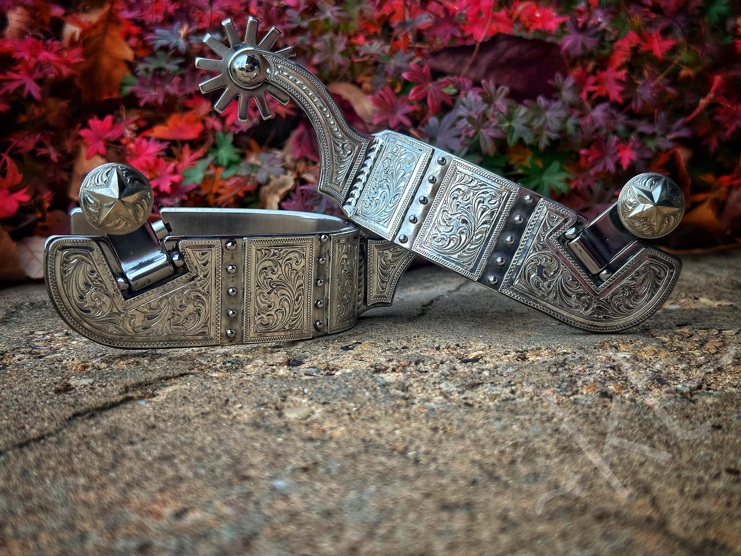 Spur #29 Placa grabada completa con puntos en acabado inoxidable