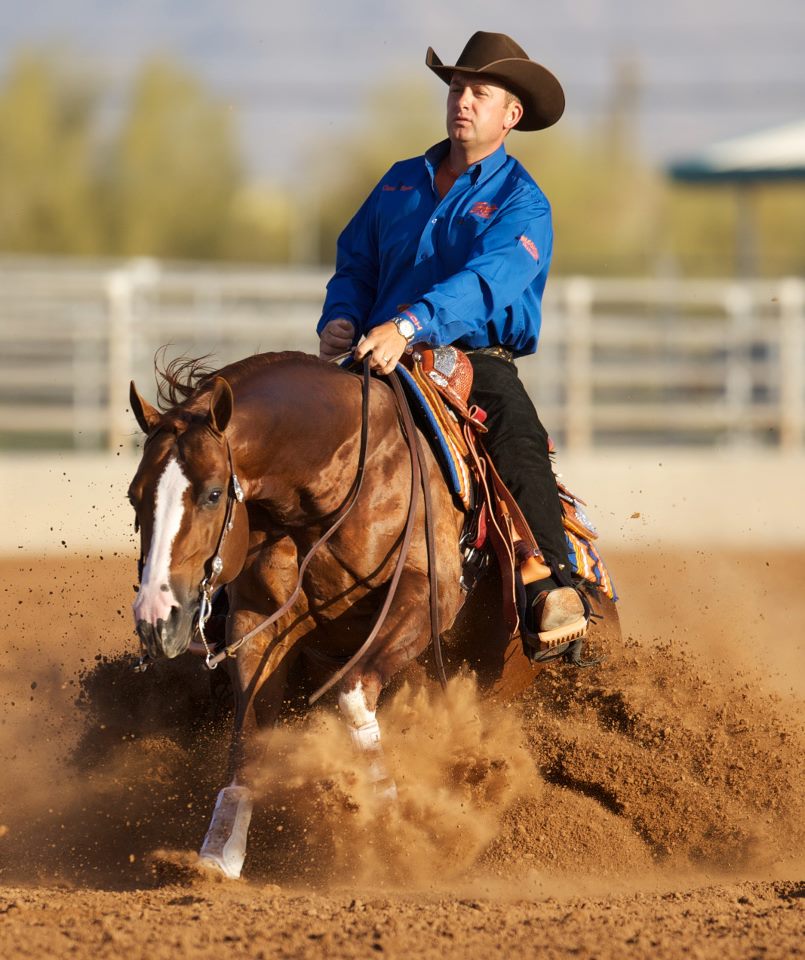 Gallery – Tom Balding Bits & Spurs