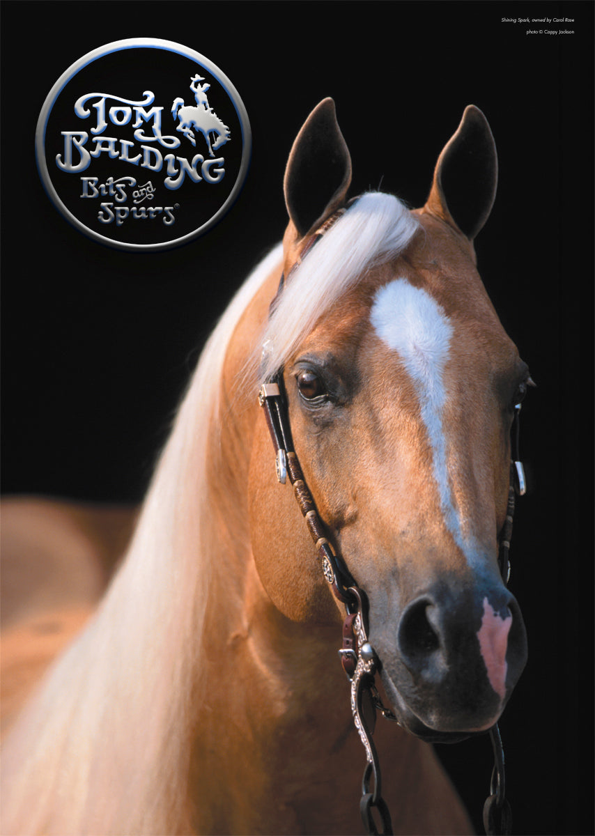 Gallery – Tom Balding Bits & Spurs