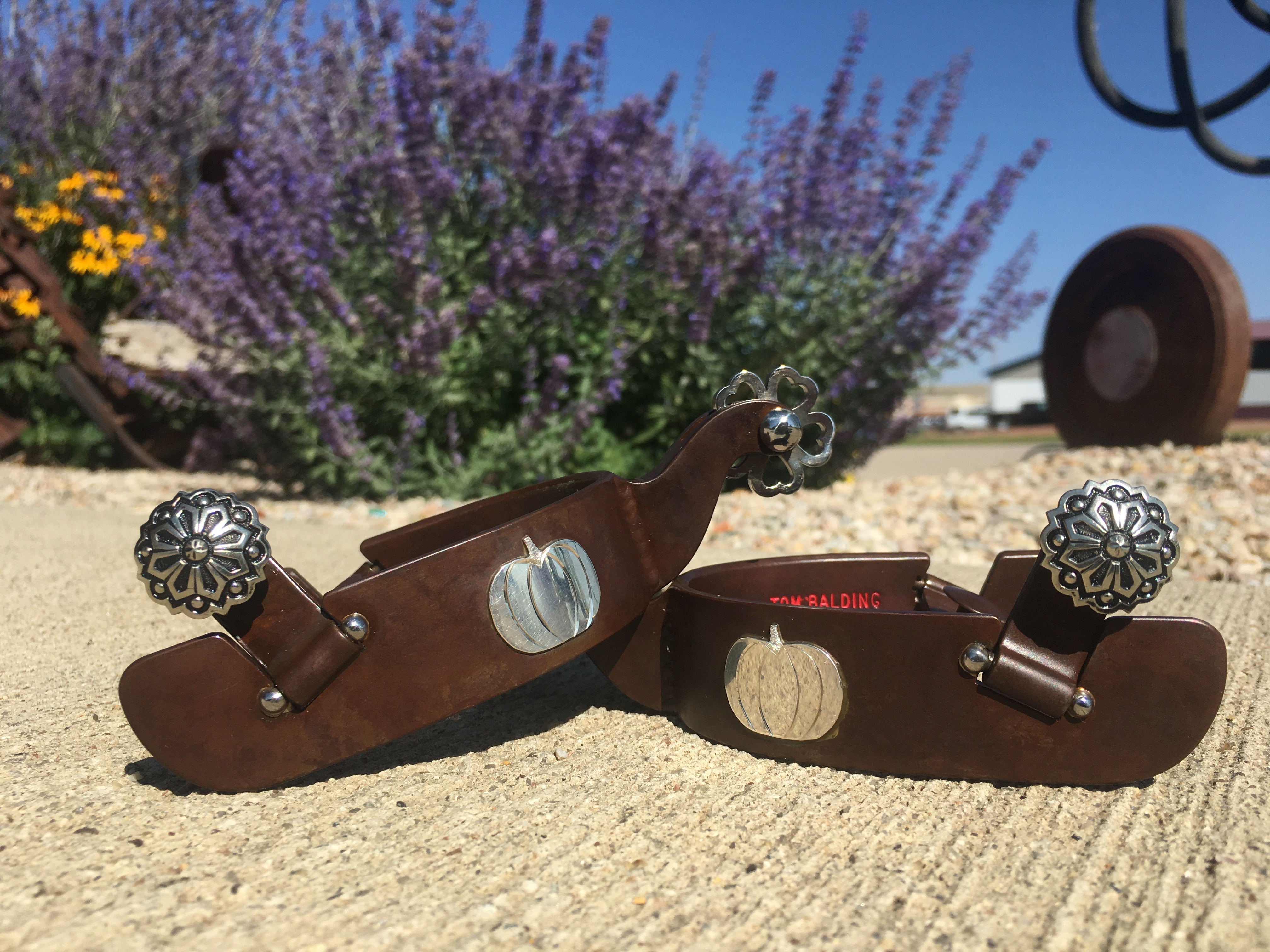 Gallery – Tom Balding Bits & Spurs