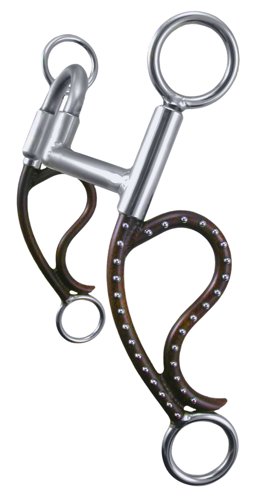 Bighorn Shank Correction
