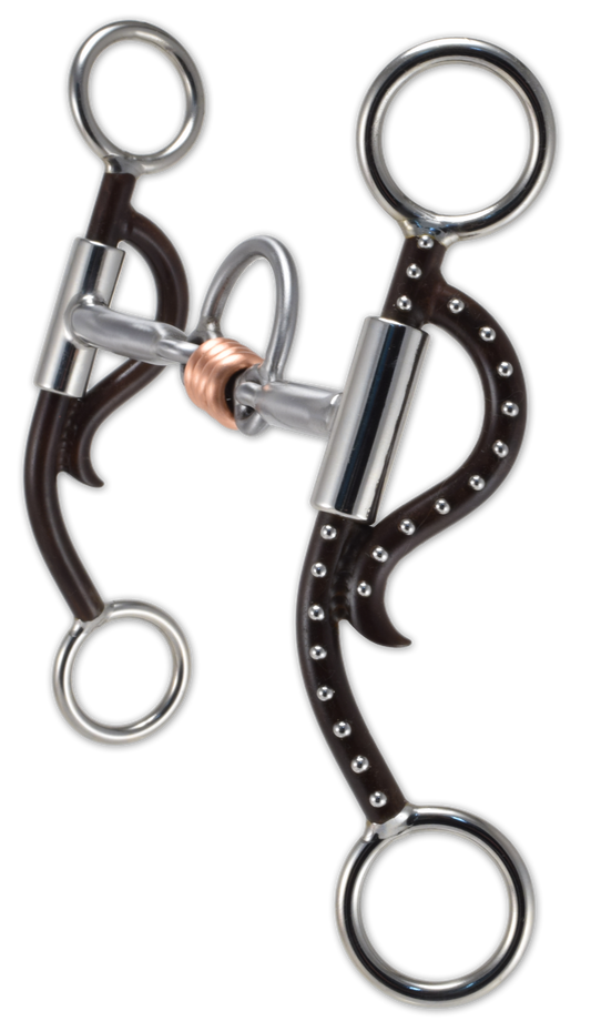 Corredor Shorthorn Shank 4